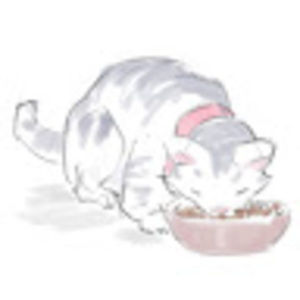 Meet your Posher, Hey!!